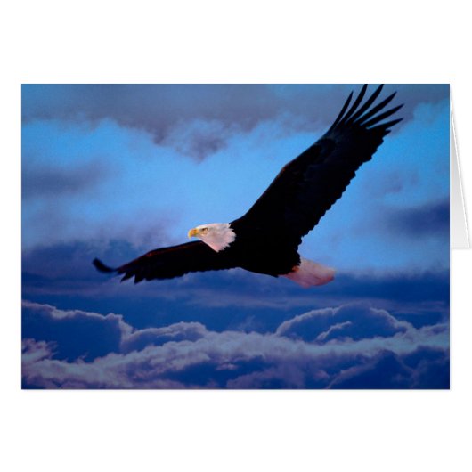 Eagle in Flight Cards (Front Horizontal)