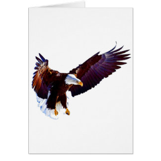 Eagle In Flight Cards