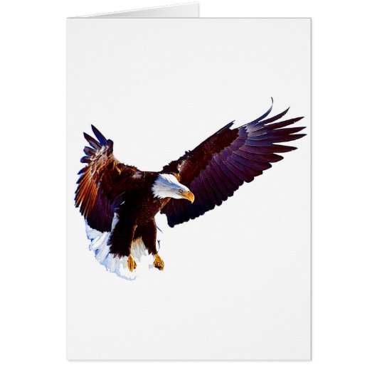Eagle In Flight Cards (Front)