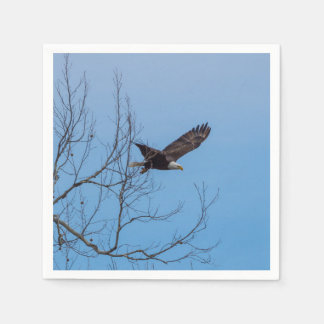 Eagle In Flight Napkins
