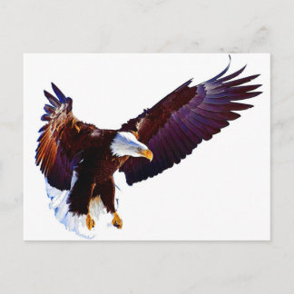 Eagle In Flight Postcard
