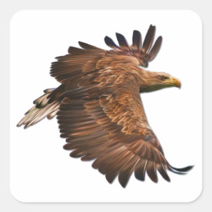 Eagle in Flight Set of Square Stickers