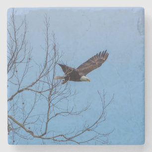 Eagle In Flight Stone Coaster