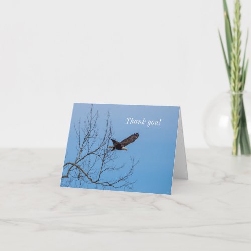 Eagle In Flight Thank You Card