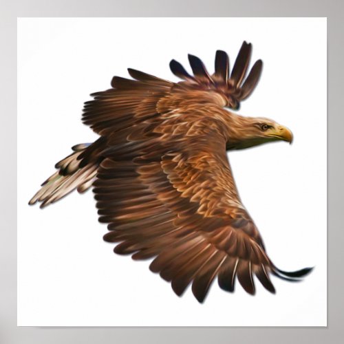 Eagle in Flight Wall Poster