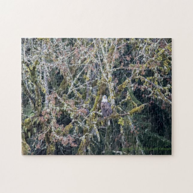 Eagle in the PNW Jigsaw Puzzle (Horizontal)