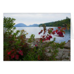 Eagle Lake and Red Maple Leaves Cards