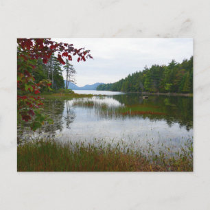 Eagle Lake and Red Maple Leaves II Postcard