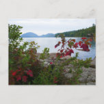 Eagle Lake and Red Maple Leaves Postcard