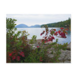 Eagle Lake and Red Maple Leaves Postcard
