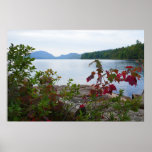 Eagle Lake and Red Maple Leaves Poster