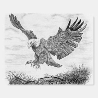 Eagle Landing - Foam Board