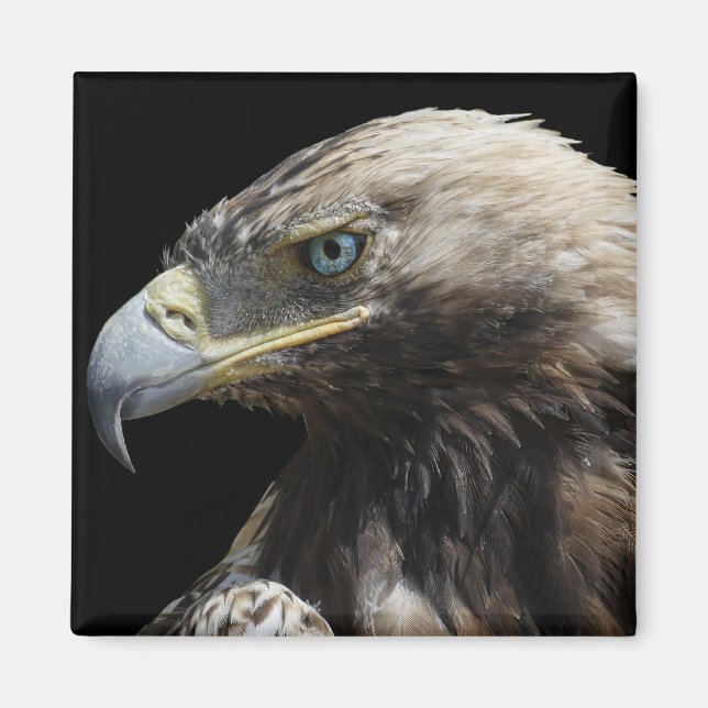 Eagle Magnet (Front)