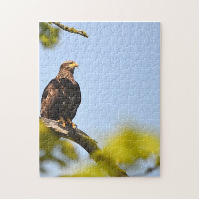 Eagle Montana. Jigsaw Puzzle (Vertical)