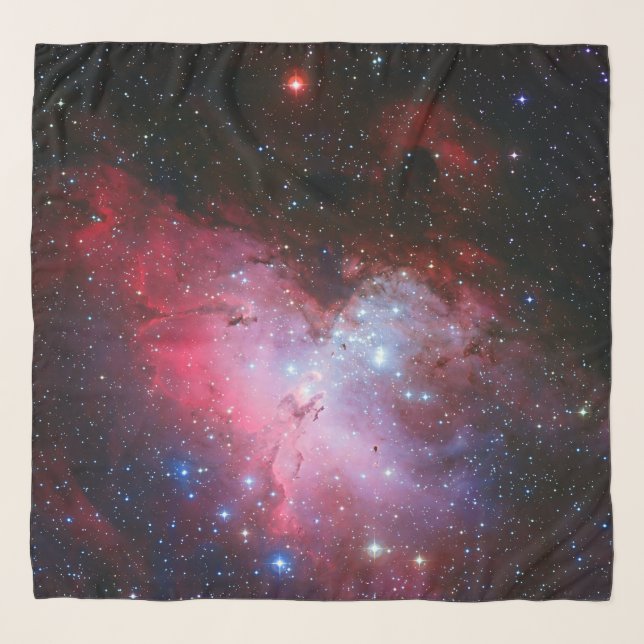 Eagle Nebula outer space picture Scarf (Front)
