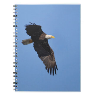 Eagle Notebook
