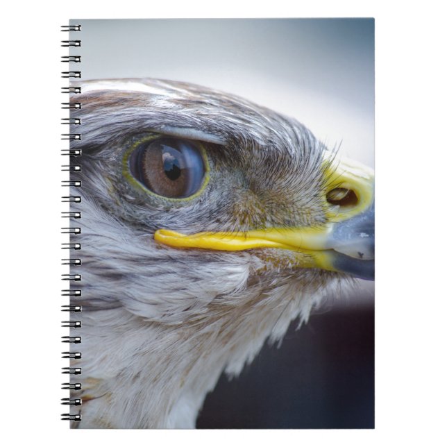 Eagle Notebook (Front)