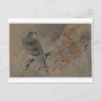 Eagle on a Maple Branch Postcard