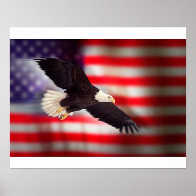Eagle on American Flag Poster (Front)
