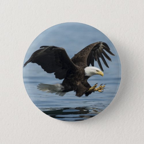 Eagle on Approach Button