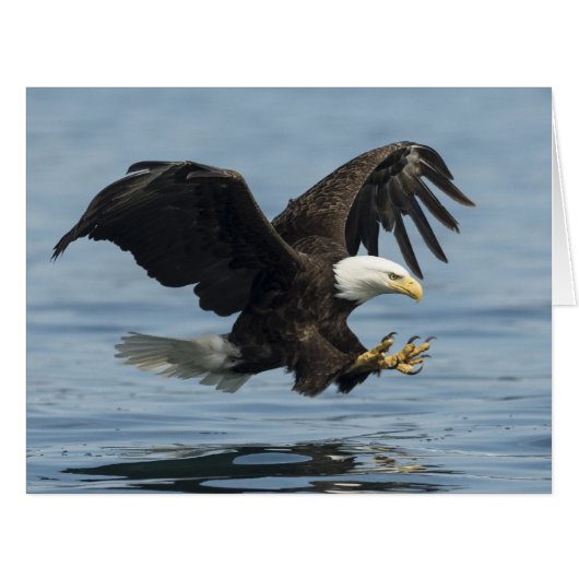 Eagle on Approach Cards (Front Horizontal)