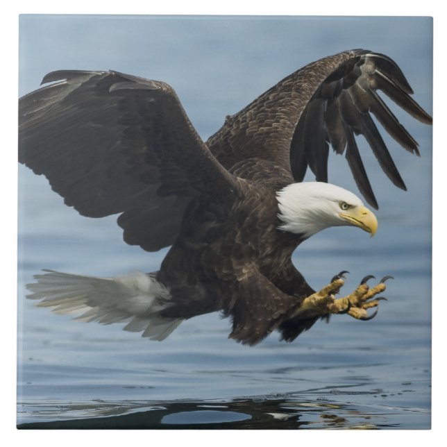 Eagle on Approach Ceramic Tile (Front)