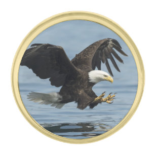 Eagle on Approach Gold Finish Lapel Pin