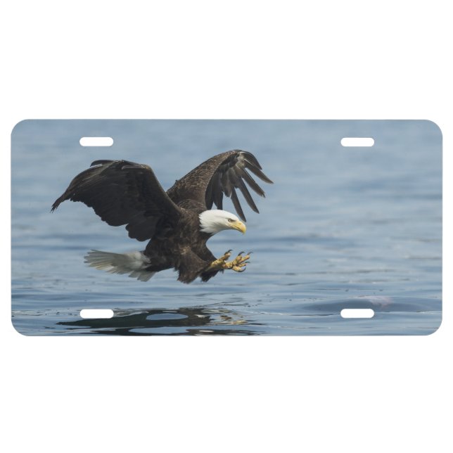 Eagle on Approach License Plate (Front)