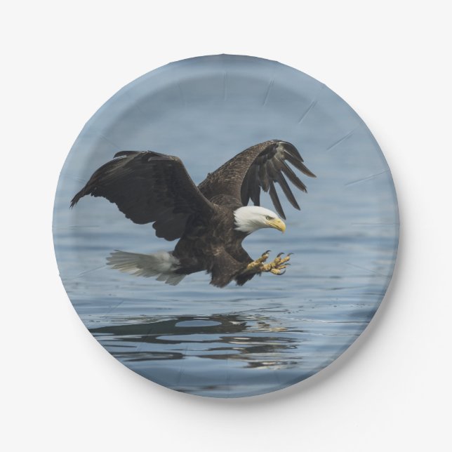 Eagle on Approach Paper Plates (Front)