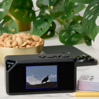 Eagle on High Ground Jabba Bluetooth Speaker