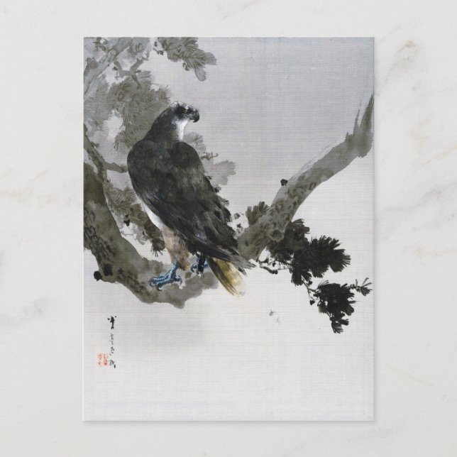 Eagle on the Pine Tree Branch, Watanabe Seitei Postcard (Front)