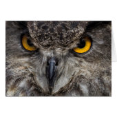 Eagle Owl (Front Horizontal)