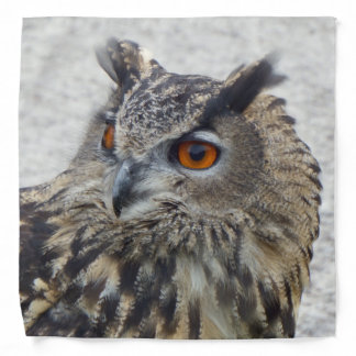 Eagle Owl Bandana