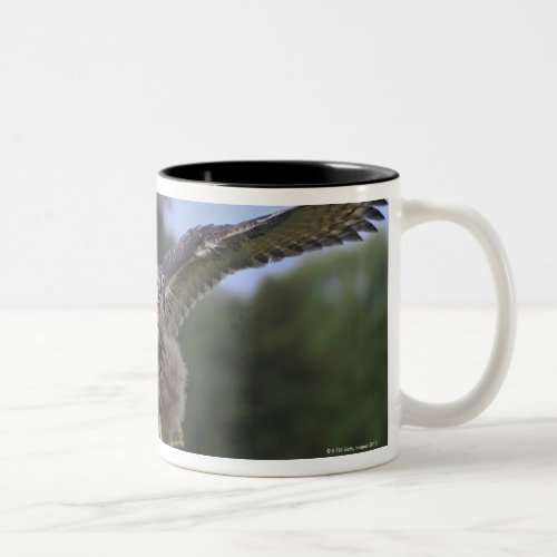 Eagle Owl Bubo bubo Two_Tone Coffee Mug