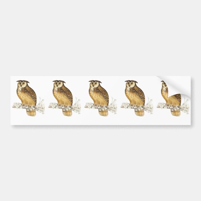 Eagle Owl Bumper Sticker (Front)