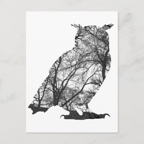 Eagle owl forest trees postcard