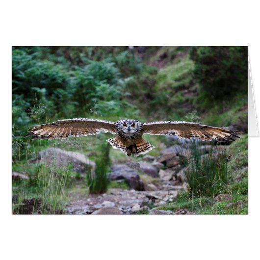 Eagle Owl. Forward Motion Cards (Front Horizontal)