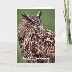 Eagle Owl - Happy Birthday Greeting Card
