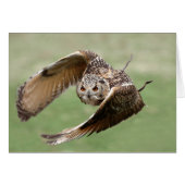 Eagle Owl In Flight (Front Horizontal)