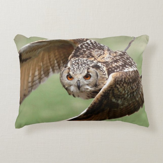 Eagle Owl In Flight Accent Pillow (Front)