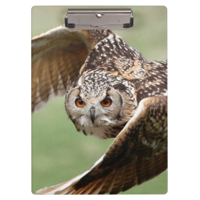 Eagle Owl In Flight Clipboard (Front)