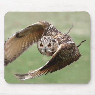 Eagle Owl In Flight Mouse Pad