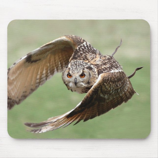 Eagle Owl In Flight Mouse Pad (Front)