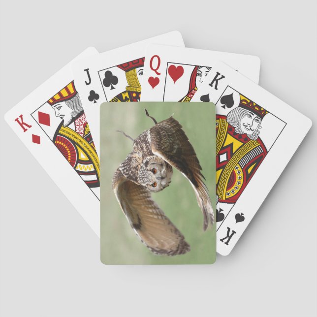 Eagle Owl In Flight Poker Cards (Back)