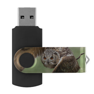 Eagle Owl In Flight USB Flash Drive