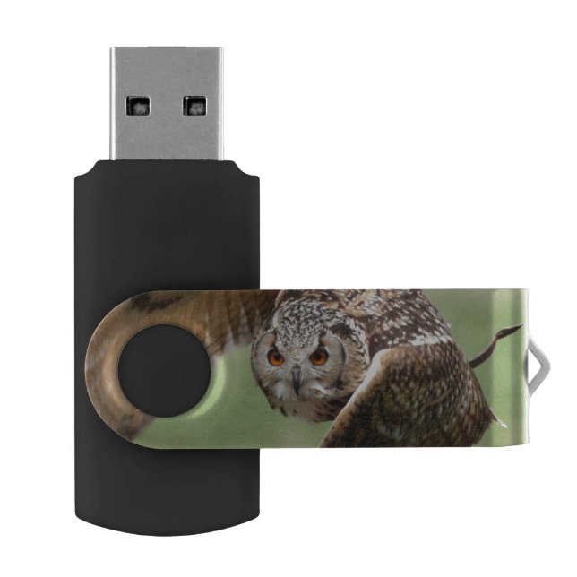 Eagle Owl In Flight USB Flash Drive (Opened)