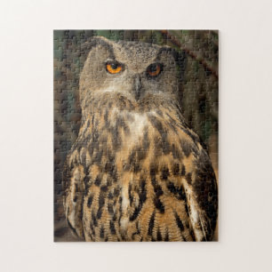 Eagle Owl Jigsaw Puzzle