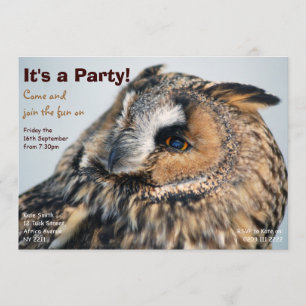 Eagle Owl Party Invitation