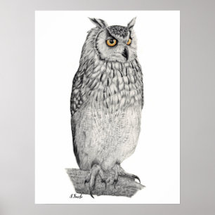 Eagle Owl Pencil Drawing Poster