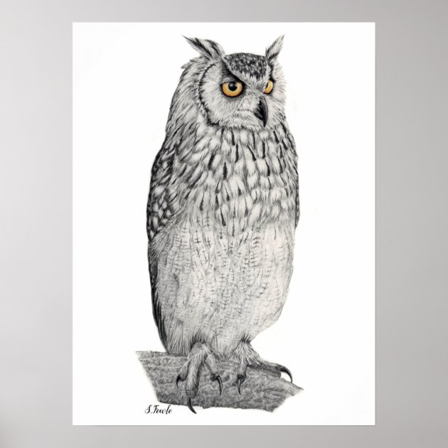 Owl Pencil A4 : r/sketches